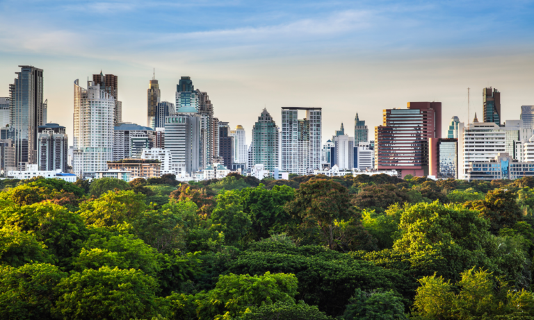 environmental impact city skyline with trees